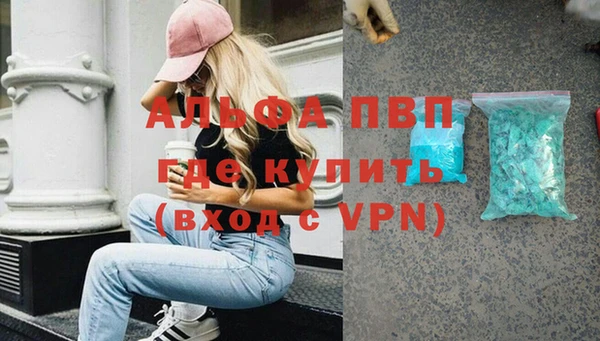 дмт Алзамай